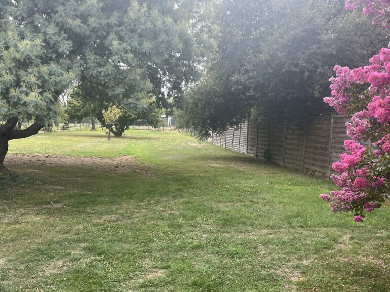 Espace vert ombragé avec arbres et fleurs, jardin extérieur de la micro-crèche MON JARDIN D’ÉVEIL à Bouguenais